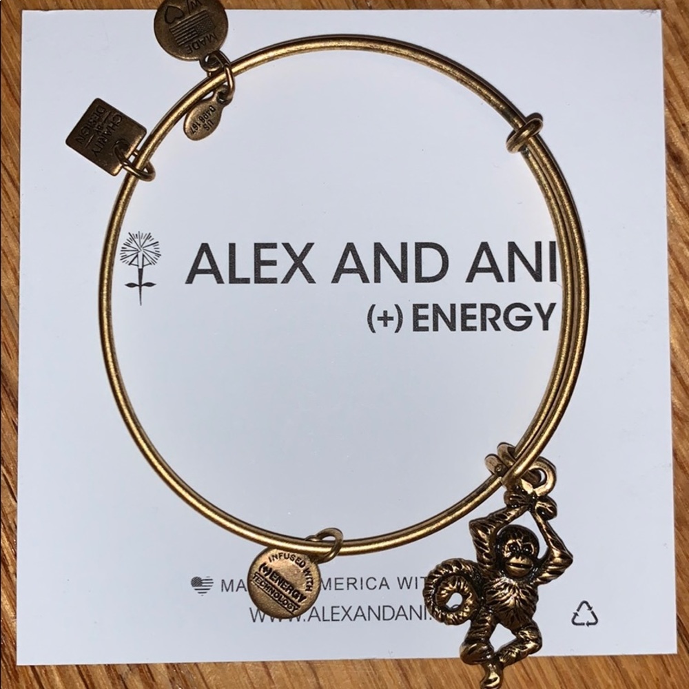 Alex and Ani bracelet